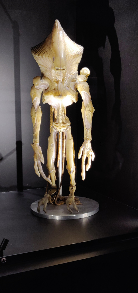 Witte alien met groot achterhoofd, lange vingers, aparte proprties, ziet er eng uit