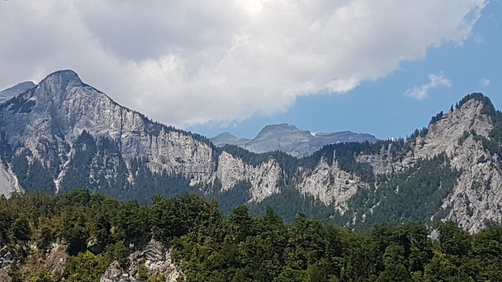 Een alp, zonder sneeuw met flink wat bomen erop.