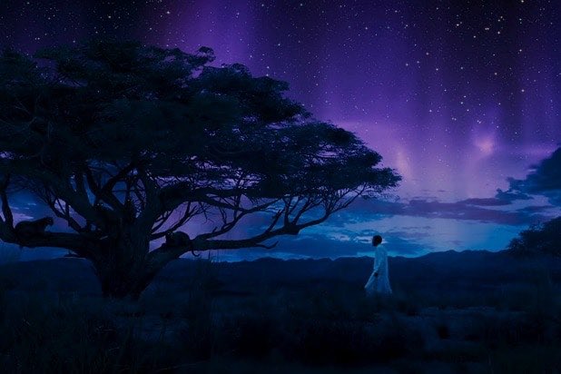 Wakanda's boom van het Hiernamaals. T'challa in witte kleding loopt naar de boom welke is gevuld met zijn voorouders in pantervorm. Op de achtergrond vult paars licht de hemel.
